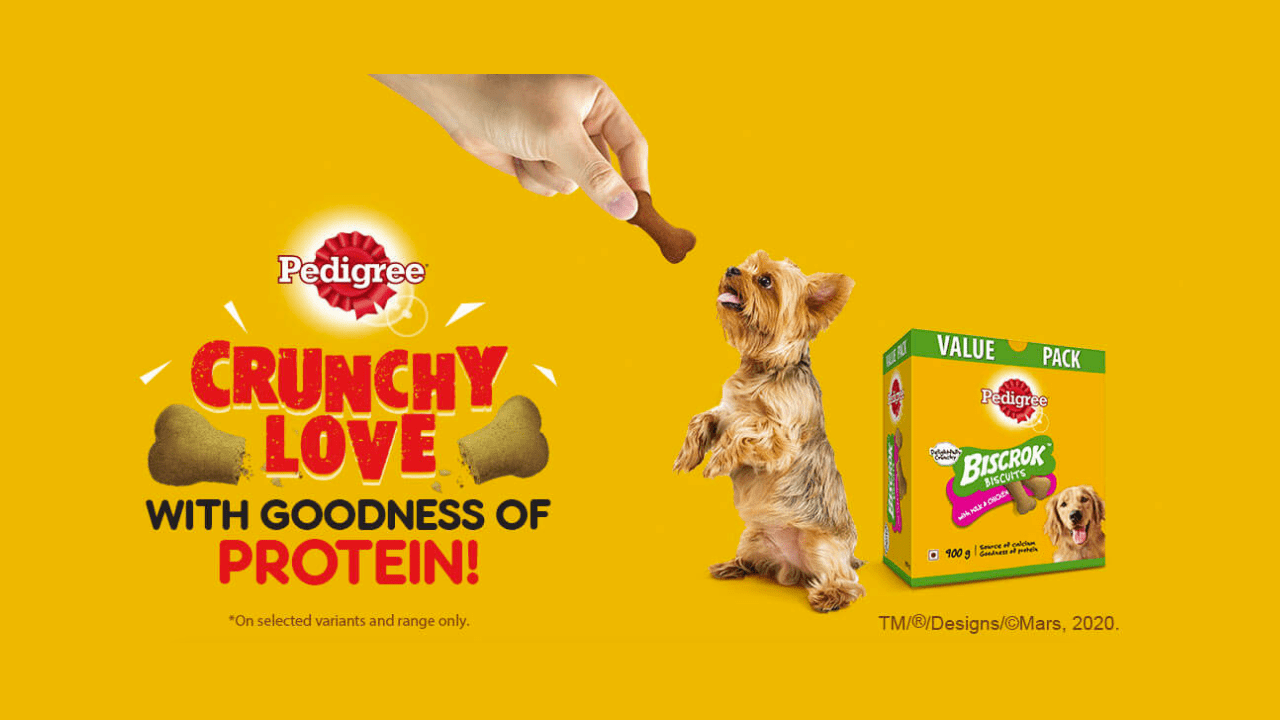 How to Get Free Sample of Pedigree Biscrok Biscuits