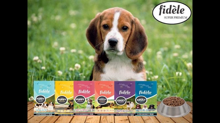 How to Get Free Sample of Fidele Free Dog Food